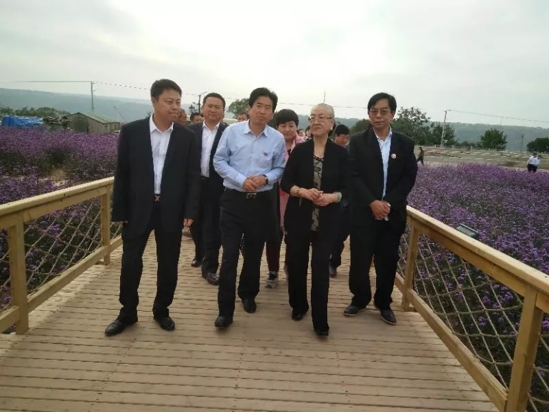 640.webp (11).jpg 640.webp (11).jpg